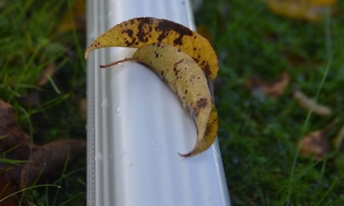 Gutter Replacement Keeps Water Flow Appropriately Directed for Homes