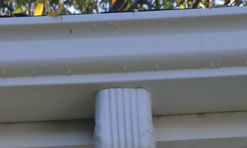 Get a Free Gutter Inspection Before Deciding on Gutter Replacement